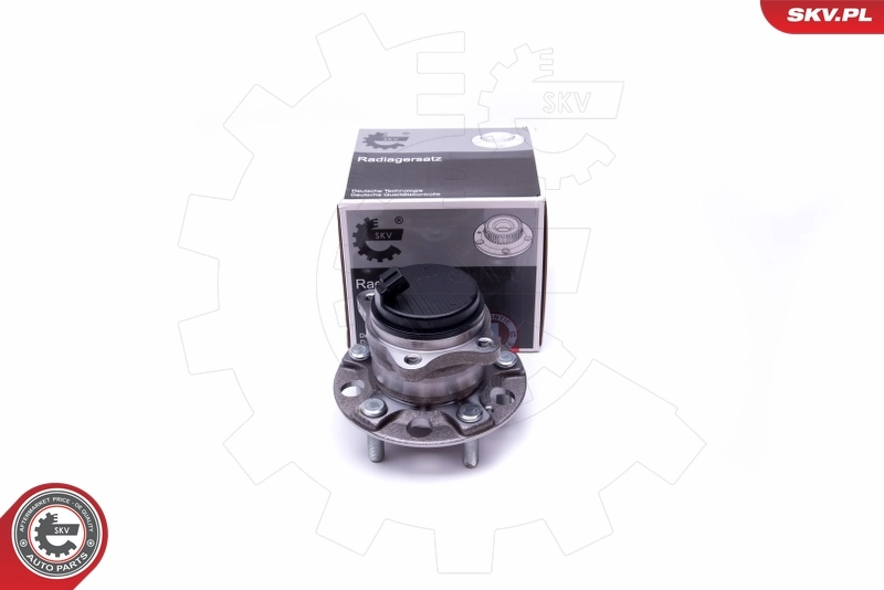 Wheel Bearing Kit